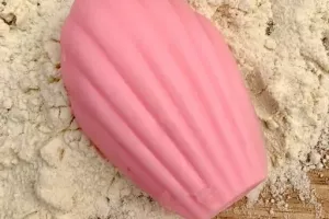Savonnerie des bormes madeleine pomme d'amour